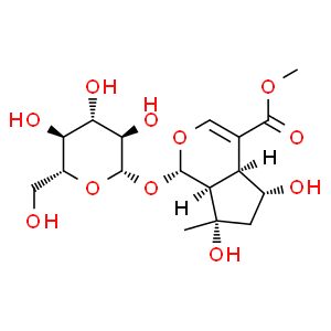 山梔苷甲酯